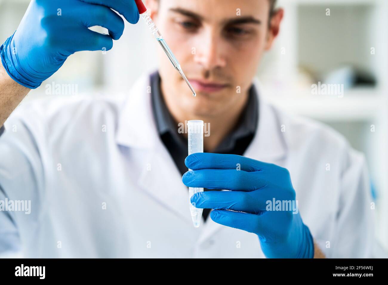 Wissenschaftler, der die Chemikalie mit der Pipette im Reagenzglas bei mischt Labor Stockfoto