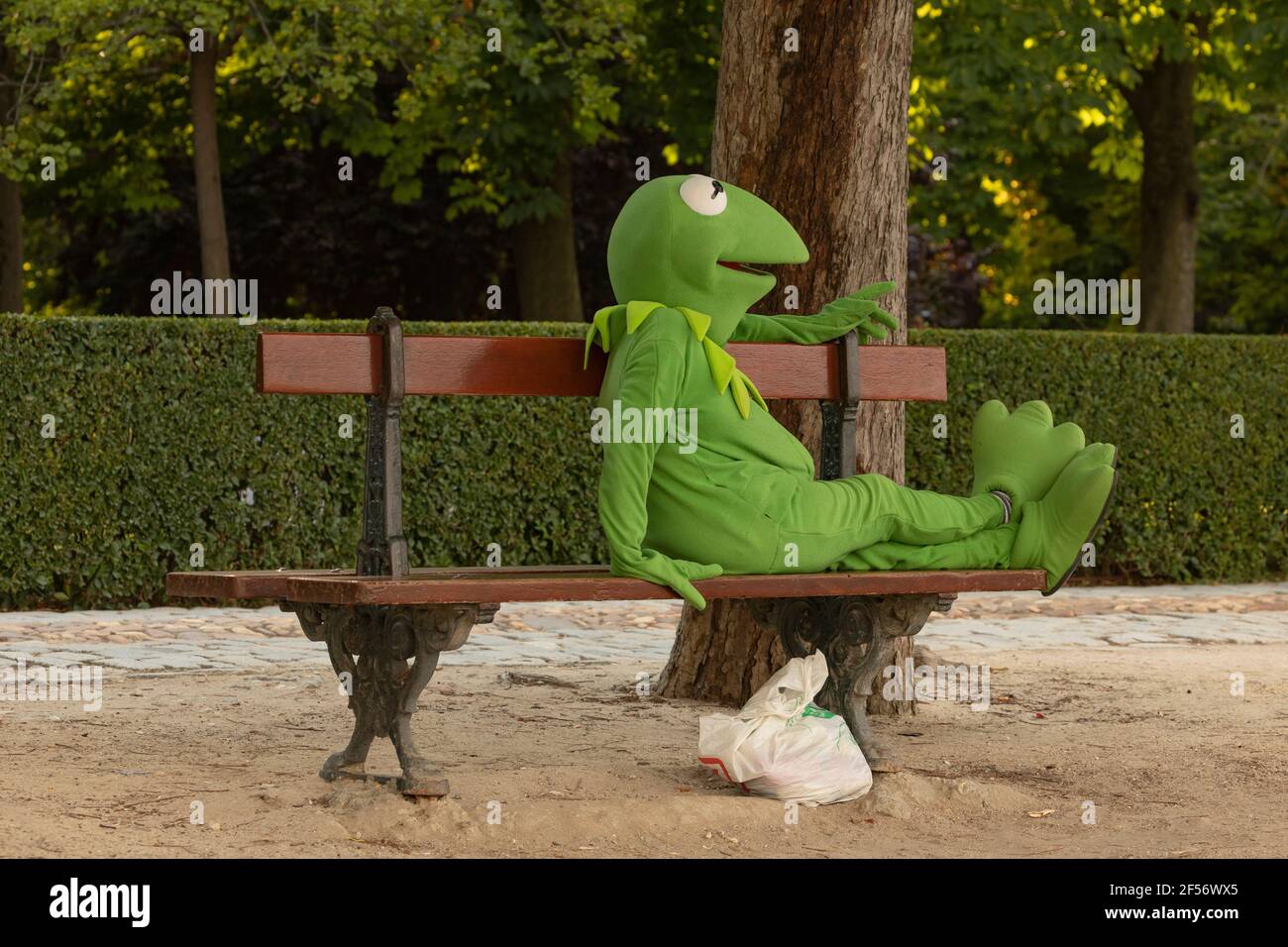 Madrid, Spanien - 20. Juni 2020: Ein Mann oder eine Frau, verkleidet als Kermit der Frosch, um ihren Lebensunterhalt zu verdienen, sitzt auf einer Holzbank im Retiro Park, Madrid. Stockfoto