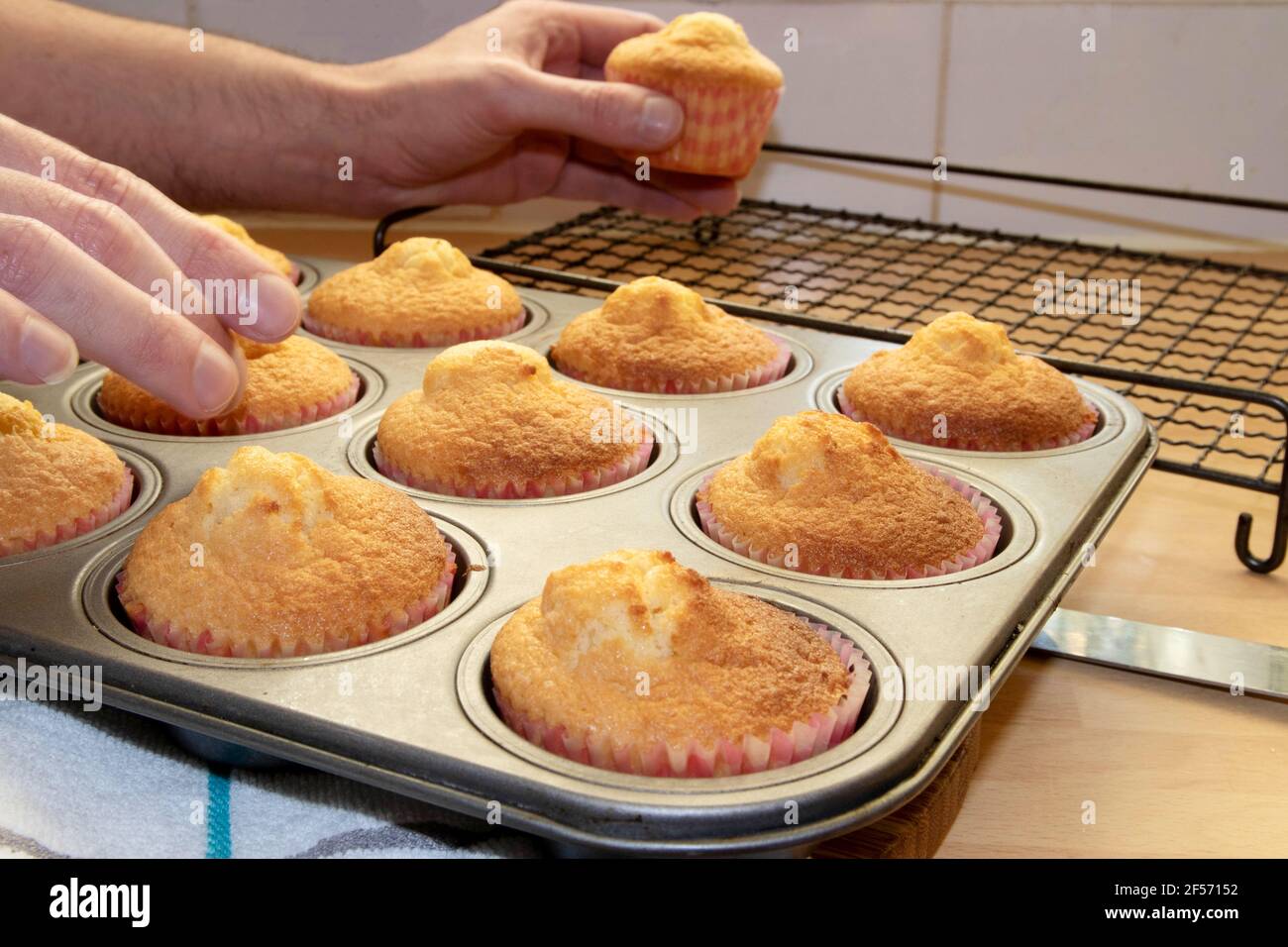 Frisch gebackene Cupcakes werden auf einem Kühlregal platziert Stockfoto