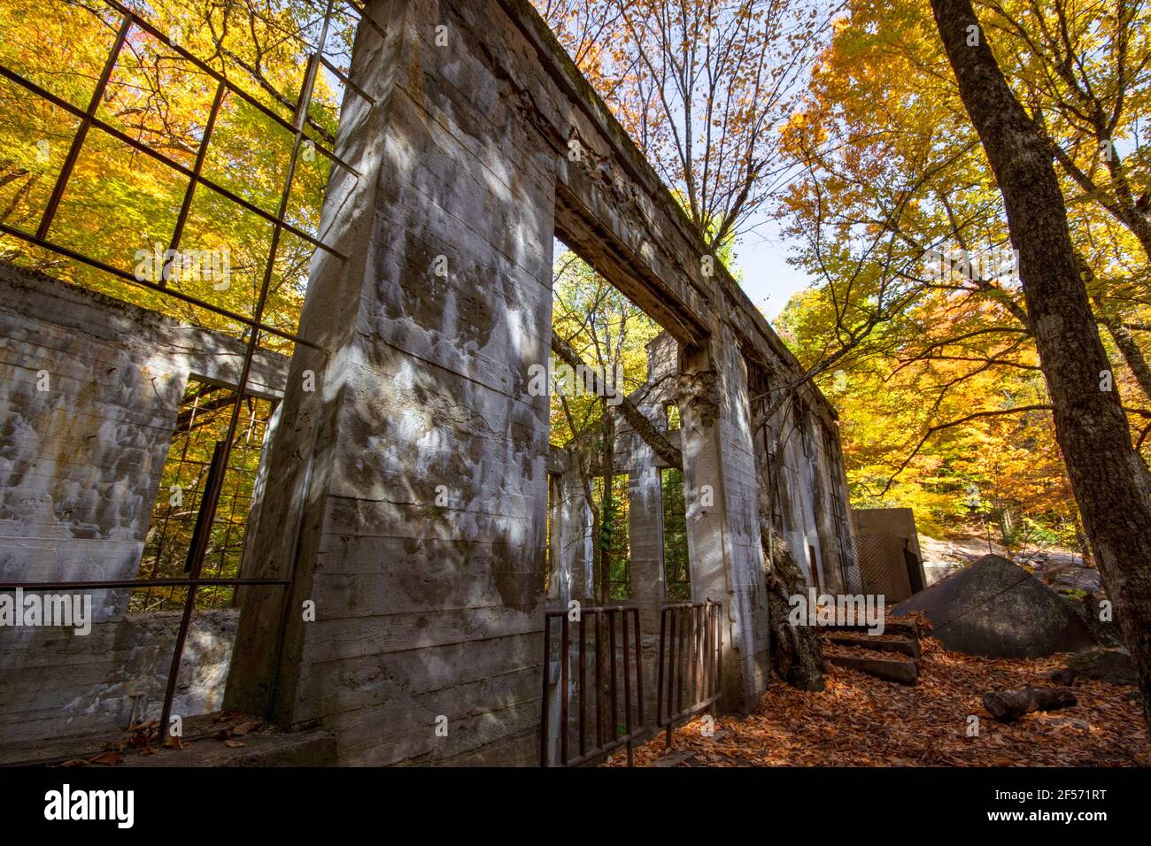 Überreste einer Erfinderwerkstatt im Wald Stockfoto