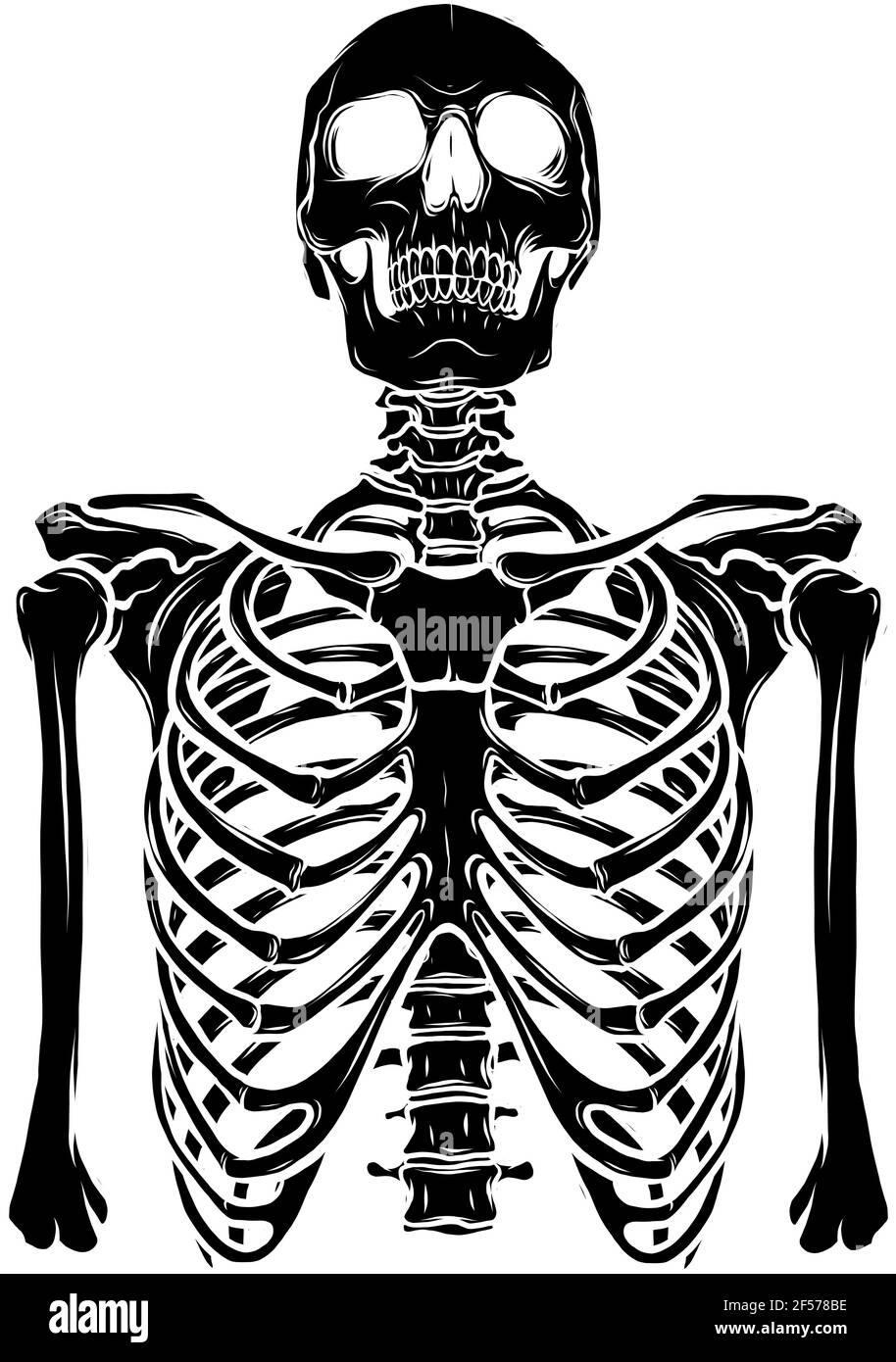 Schwarze Silhouette des menschlichen Skeletts auf weißem Hintergrund Vektor-Illustration Stock Vektor