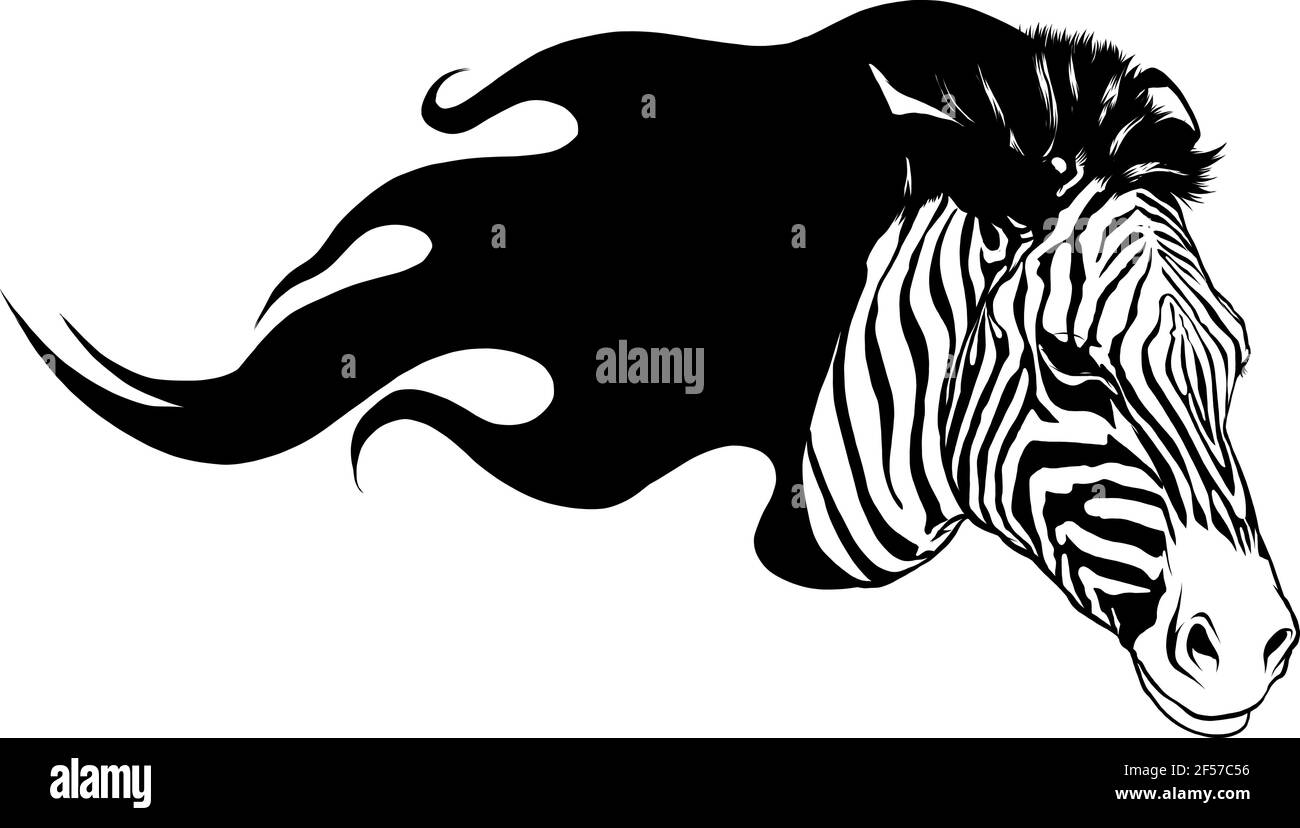 Schwarze Silhouette Zebra Kopf mit Flammen Vektor Illustration Design Stock Vektor