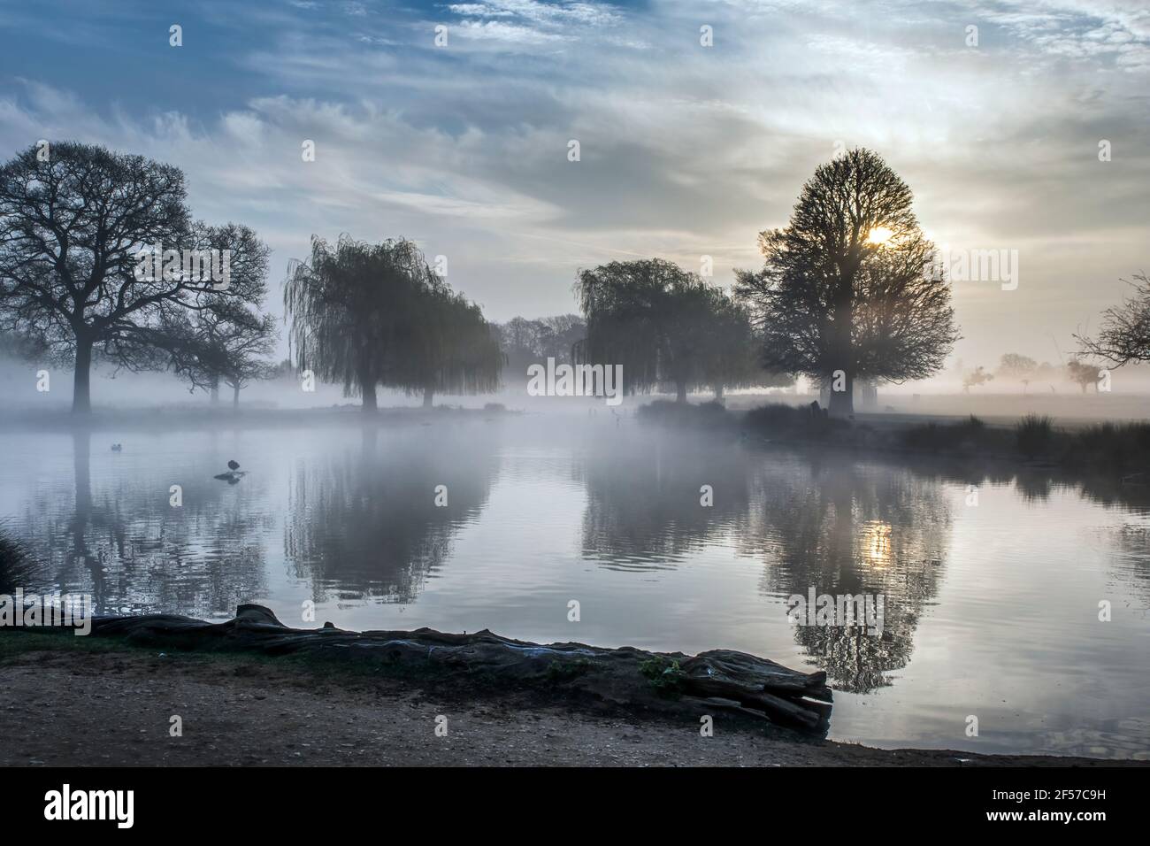 Sonne, die an einem nebligen Frühlingsmorgen durch die Wolken rast. Wenn ich auf öffentlichem oder privatem Eigentum bin, bin ich bereit, die volle Verantwortung für jedes Urheberrecht zu übernehmen Stockfoto