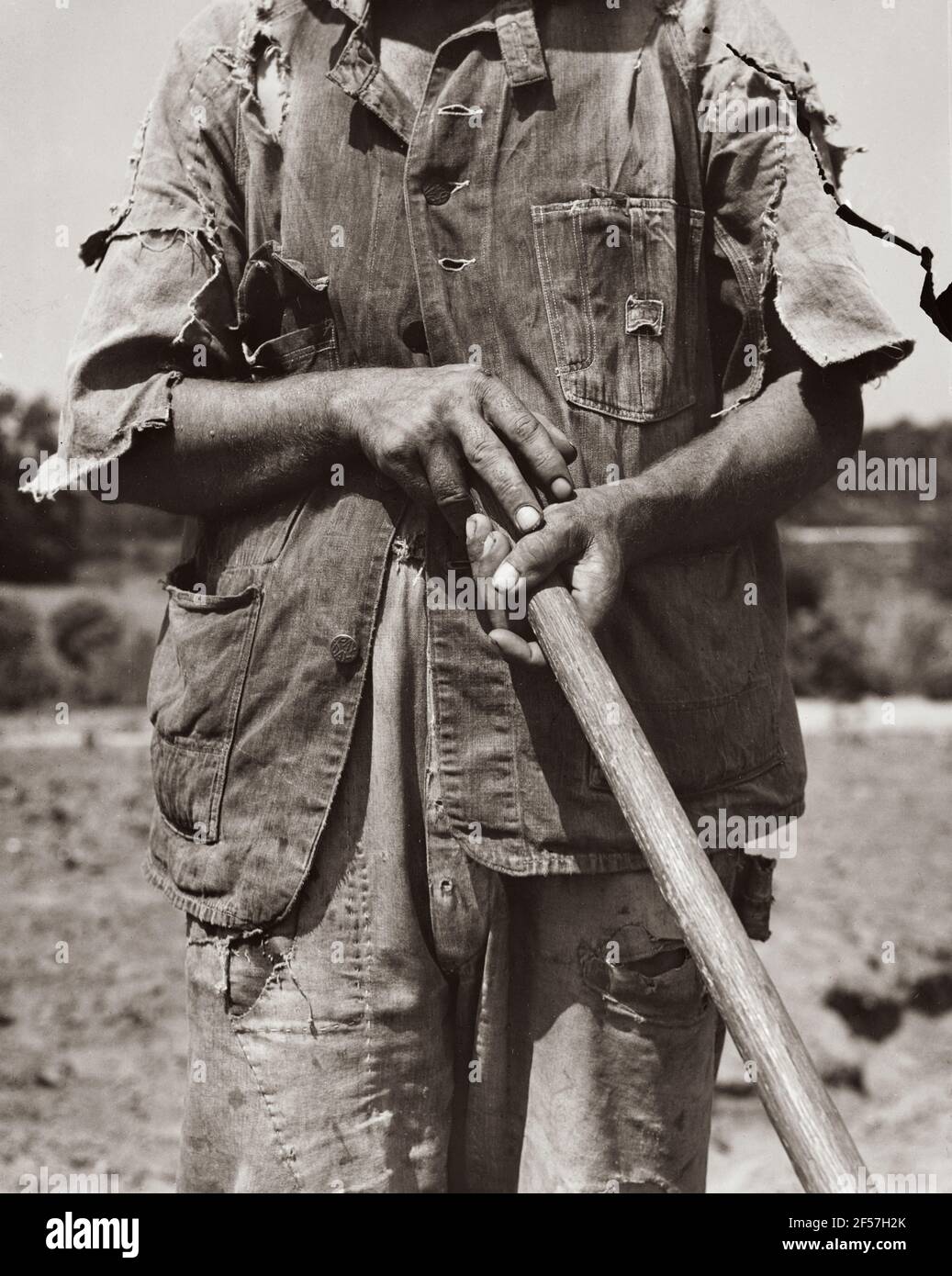 Hacke Kultur. Alabama Mieter Bauer in der Nähe von Anniston. Juni 1936. Foto von Dorothea lange. Stockfoto