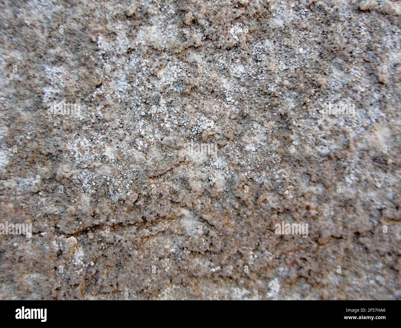 Hintergrund der Stein Wand Textur Foto, natürliche Stein Textur Stockfoto