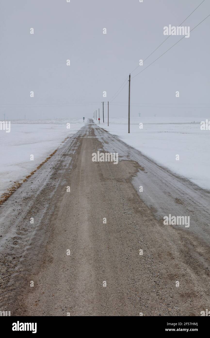 Rural Indiana Road, Winter, Indiana USA, von James D. Coppinger/Dembinsky Photo Assoc Stockfoto