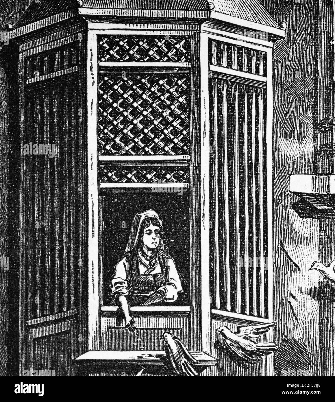 Frauen, die aus einem Fenster eines türkischen Harems schauen und Pidgeons füttern, Türkei, Asien, Holzstich, Wien. Leipzig 1881 Stockfoto
