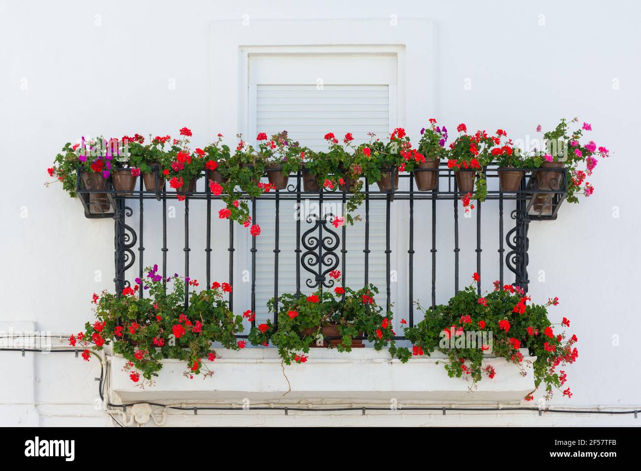 Schöner Balkon mit roten Geranien in Vejer de la Frontera, Provinz Cadiz. Andalusien, Spanien Stockfoto