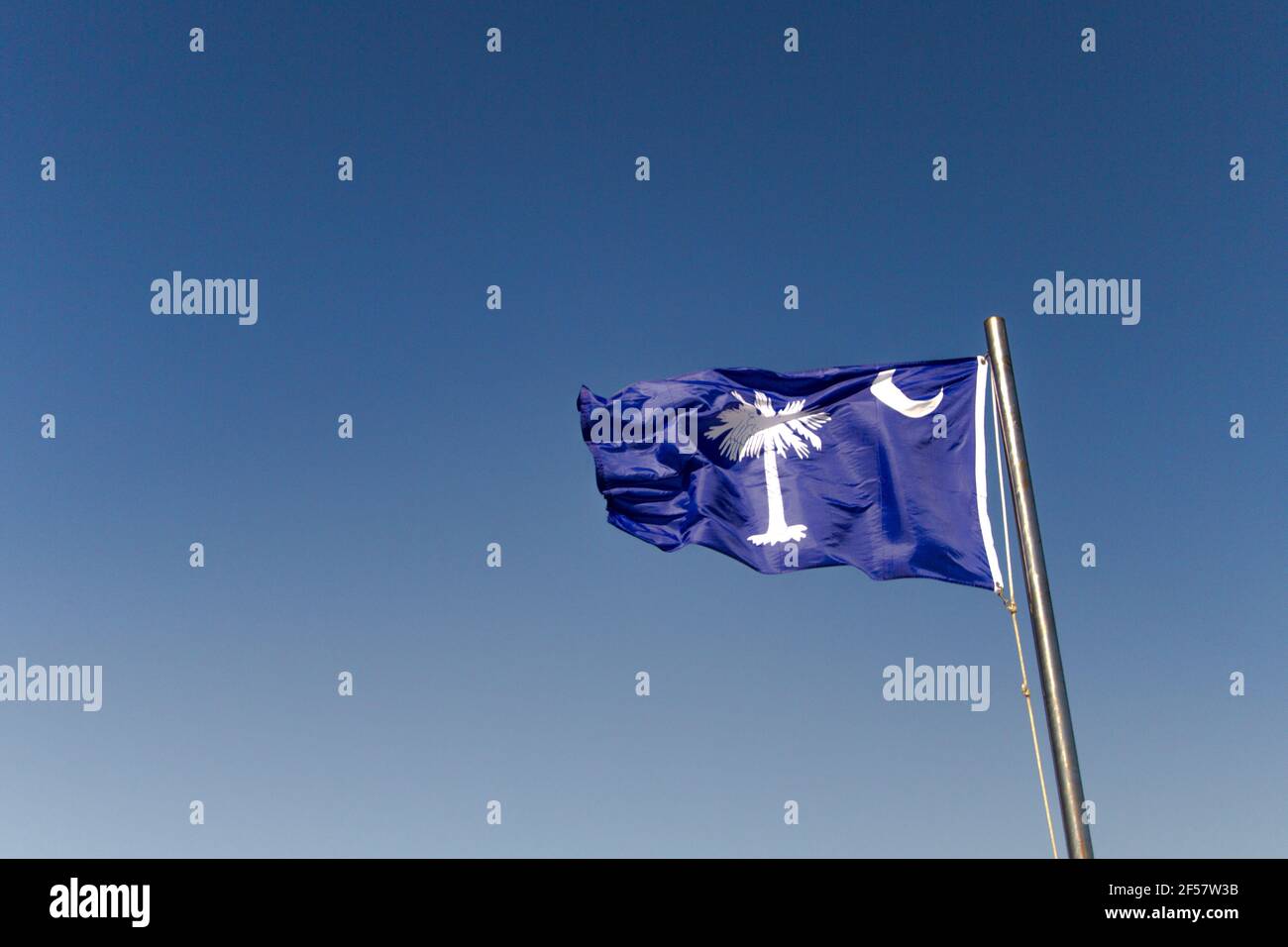 South Carolina State Flag in horizontaler Ausrichtung mit Kopierraum. Stockfoto