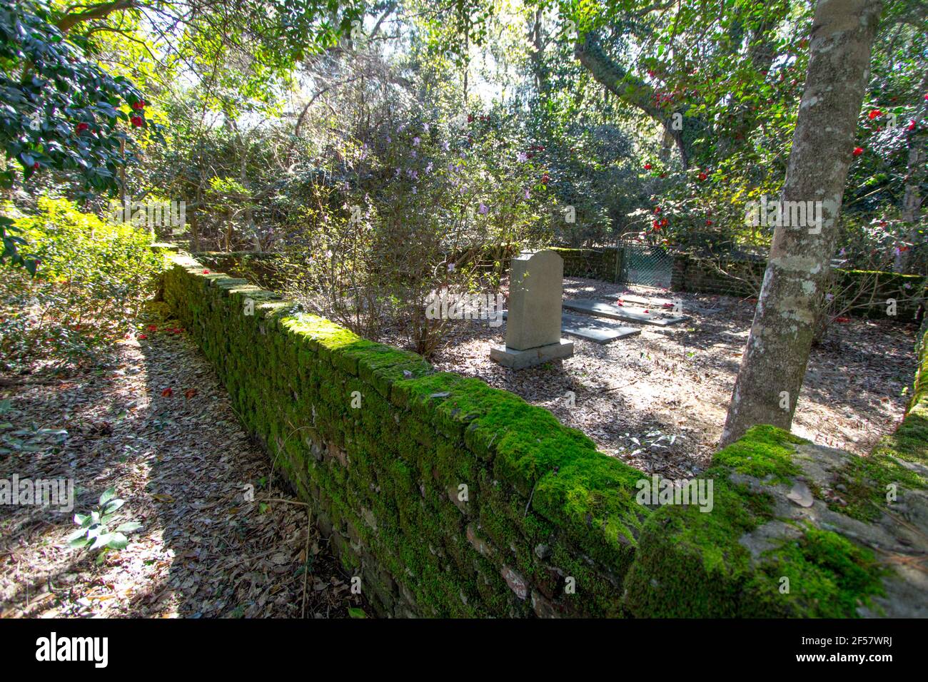 Charleston, South Carolina, USA - 23. Februar 2021: Historischer Friedhof in der Hampton Plantation. Die Plantage wird Berichten zufolge verfolgt. Stockfoto