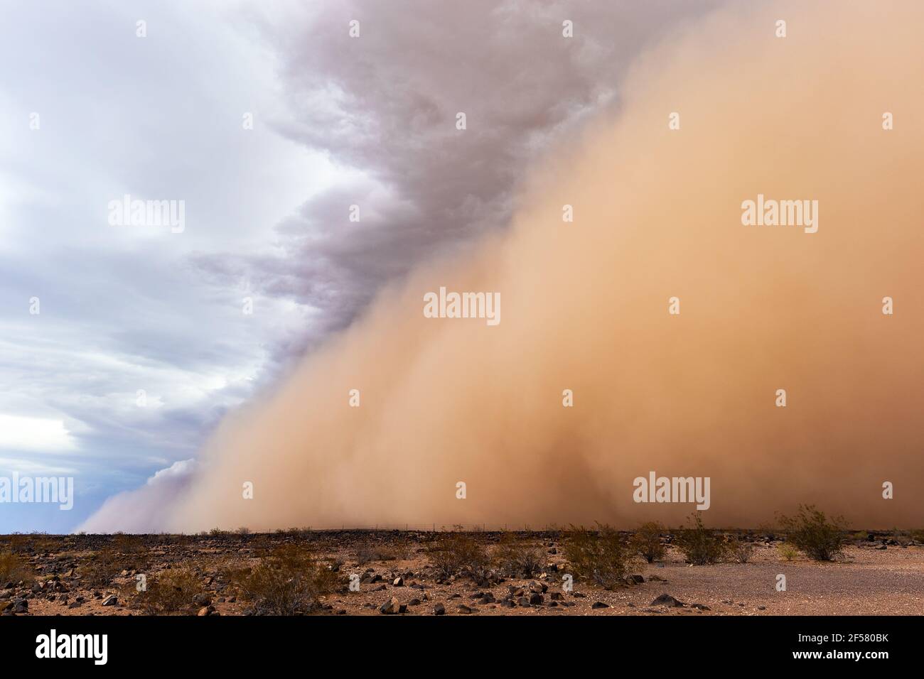 Ein dichter haboob-Staubsturm zieht durch die Wüste in der Nähe von Stanfield, Arizona Stockfoto