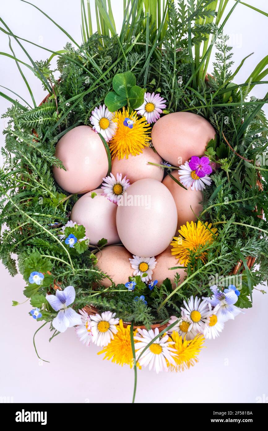 Eier in einem Korb mit Frühlingspflanzen und Blumen Stockfoto