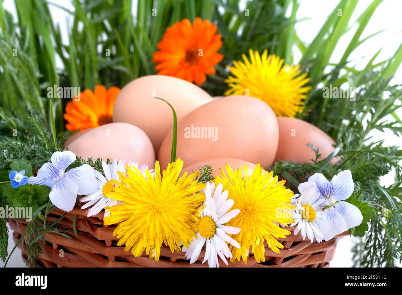 Eier in einem Korb mit Frühlingspflanzen und Blumen Stockfoto