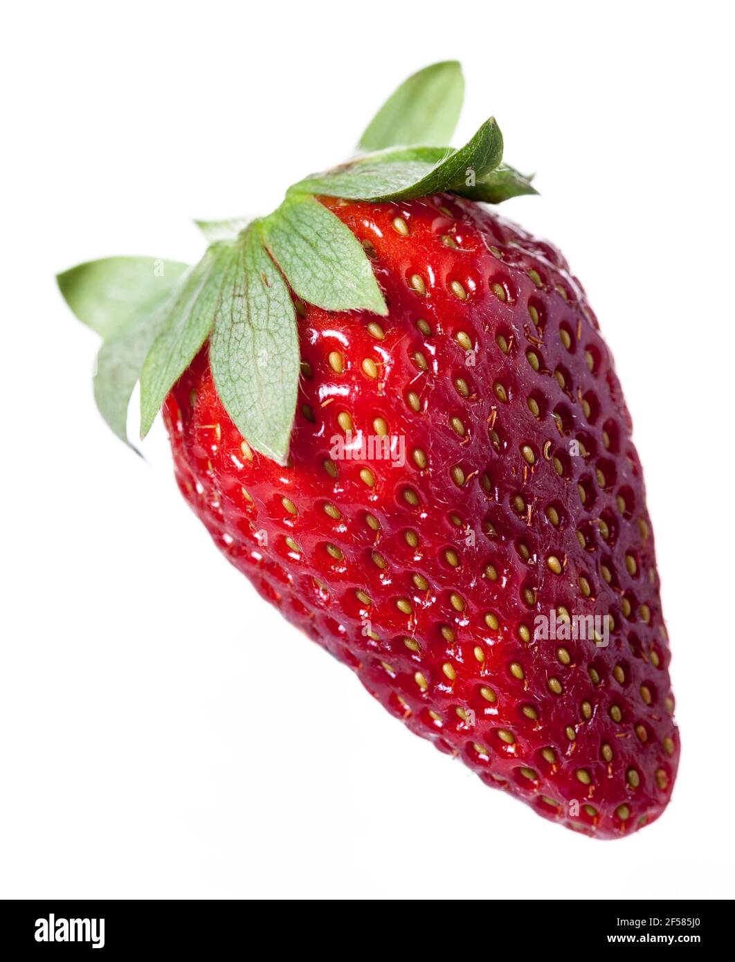 Erdbeere, Jordgubbe (Fragaria x ananassa) Stockfoto