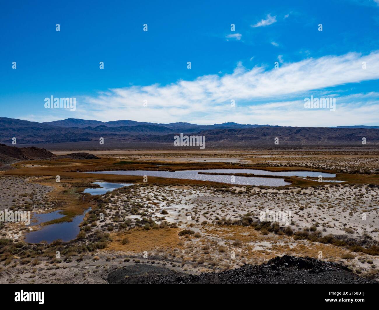 Die Feuchtgebiete von Saratoga Springs Heimat eines endemischen Puppenfisches, im Death Valley National Park, Kalifornien, USA Stockfoto