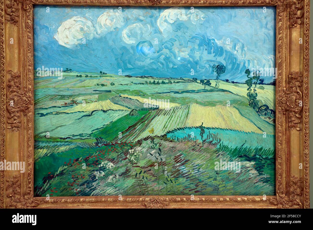 Eine geschlossene Ansicht von Vincent van Goghs Weizenfeldern nach dem Regen 1890, eines der letzten Gemälde, das der Künstler im Carnegie Museum of Art gemacht hat. Pittsburgh.Pennsylvania.USA Stockfoto