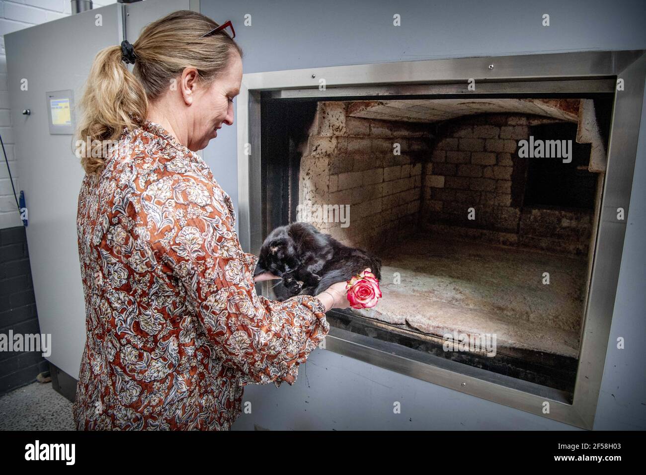 Haustier krematorium -Fotos und -Bildmaterial in hoher Auflösung – Alamy
