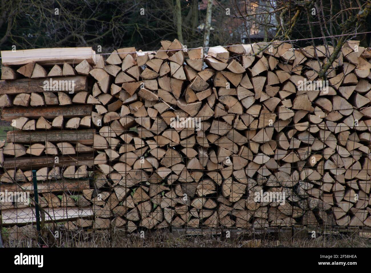 Neue Brennholz Stücke geheftet warten einige Jahre vor bereit für Verwenden Stockfoto