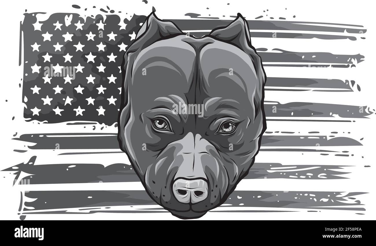 Design von Head Bully Dog mit amerikanischer Flagge Stock Vektor