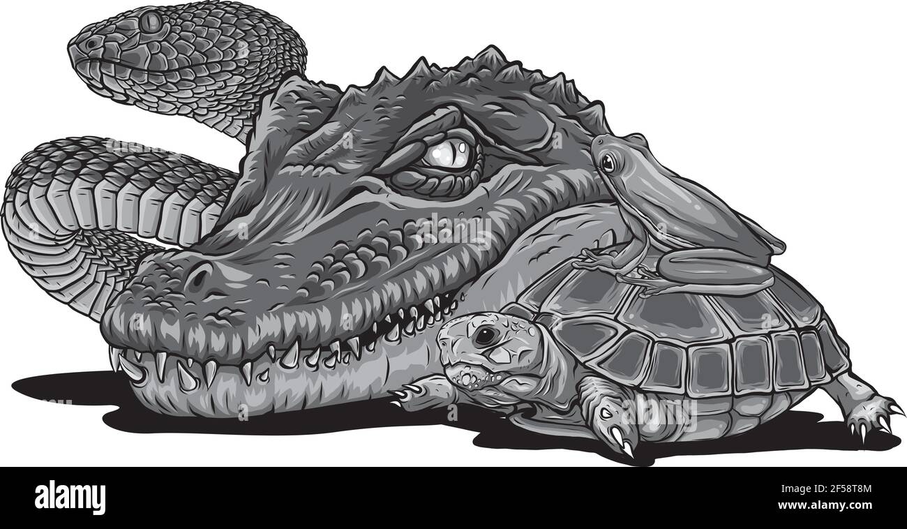 Design von Reptilien und Amphibien. Wildes Krokodil, Schlange, Schildkröte und Frosch Stock Vektor