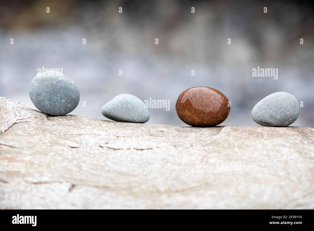 Ein Hintergrund aus Kieselsteinen am Meer am Strand, ein Symbol für Frieden, Entspannung und Vielfalt. Stockfoto