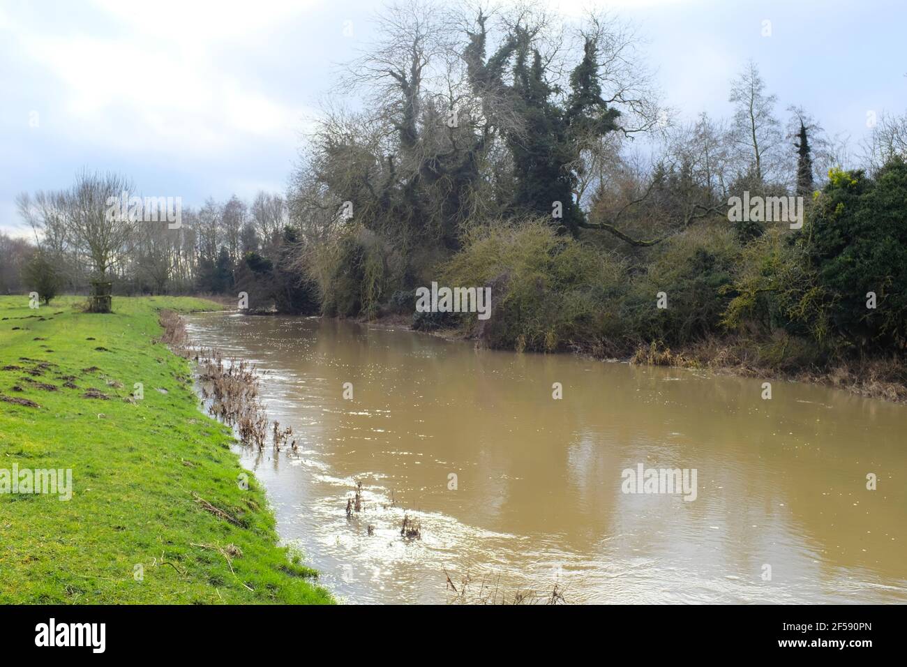 Der Fluss Ivel in Biggleswade Bedfordshire, England Stockfoto