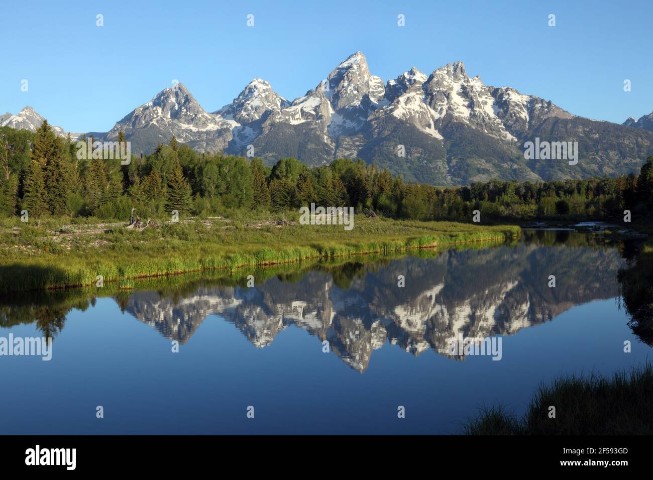 Geographie / Reisen, USA, Wyoming, Jackson, Schwabacher Landing, Teton Range, Grand Teton National Par, Additional-Rights-Clearance-Info-Not-Available Stockfoto
