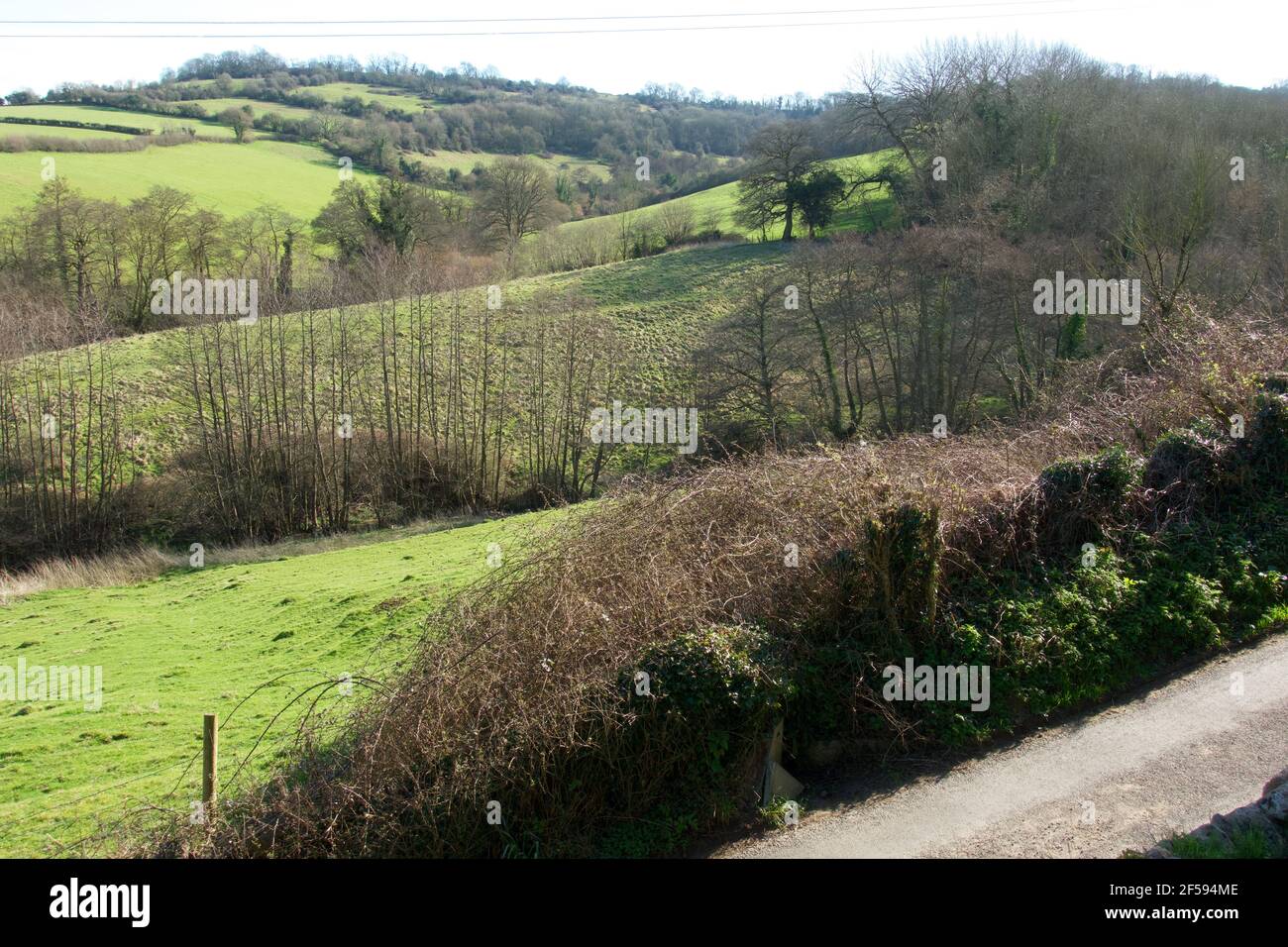Frühling üppiges Grün und angenehme Landschaft in England Stockfoto