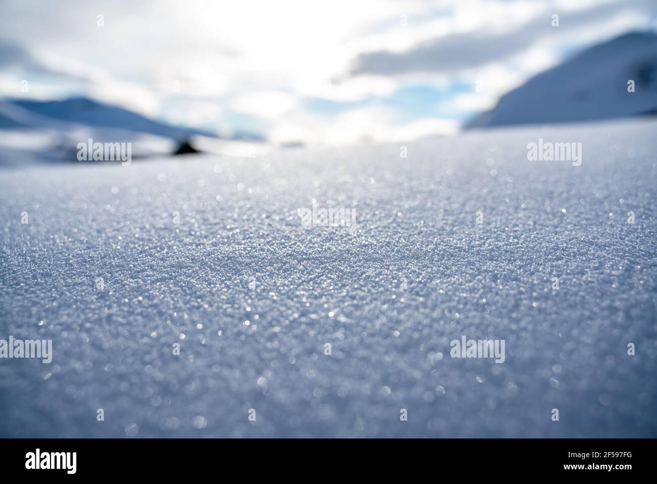 Nahaufnahmen von Schnee auf dem Boden in einem Winterwunderland. Stockfoto