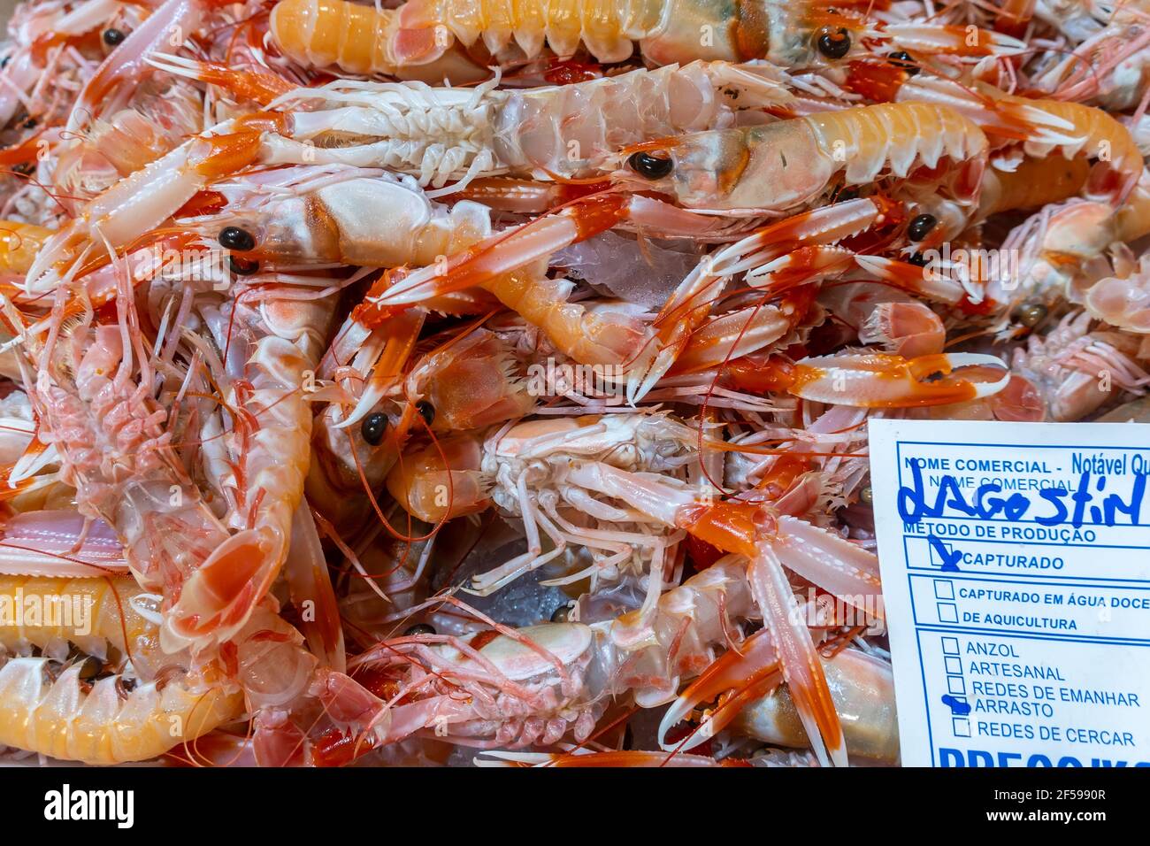 Frische Garnelen auf dem Algarve-Fischmarkt, Portugal Stockfoto