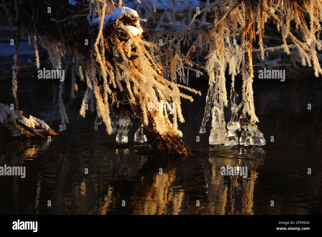 Eiszapfen in einem kleinen Fluss an einem eiskalten Wintertag Stockfoto