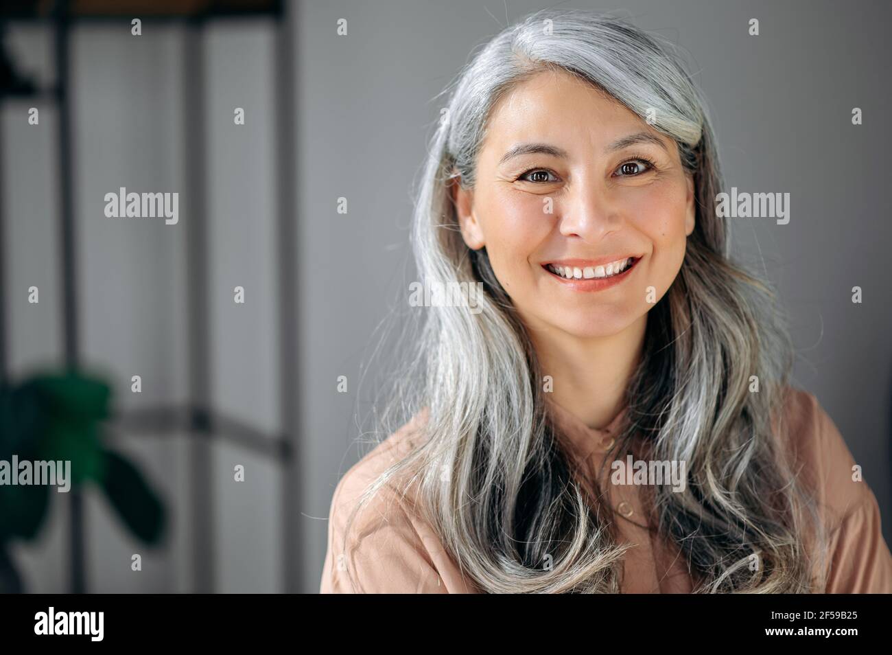 Nahaufnahme Porträt von ziemlich zuversichtlich einflussreichen reifen grauhaarigen asiatischen Geschäftsfrau, Rechtsanwalt, im Büro stehen, tragen stilvolle Kleidung, Blick auf Kamera, Freundlich lächelnd Stockfoto