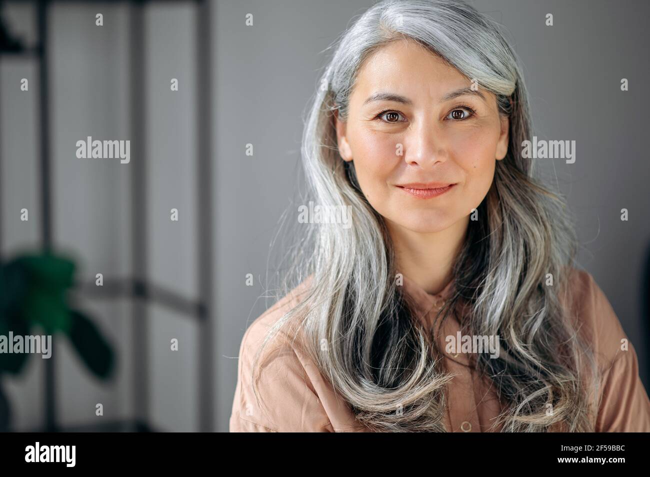 Nahaufnahme Porträt der schönen einflussreichen selbstbewussten reifen grauhaarigen asiatischen Frau ceo, Anwalt, Immobilienmakler, steht im Büro, in stilvollen Kleidern gekleidet, sieht in die Kamera, freundlich lächelnd Stockfoto