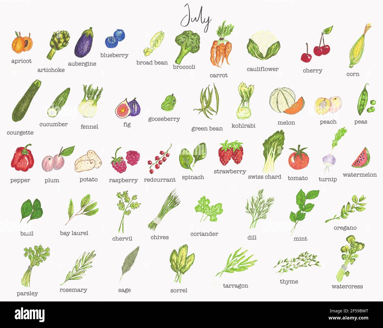 Juli Obst und Gemüse Saisonkalender Stockfotografie - Alamy