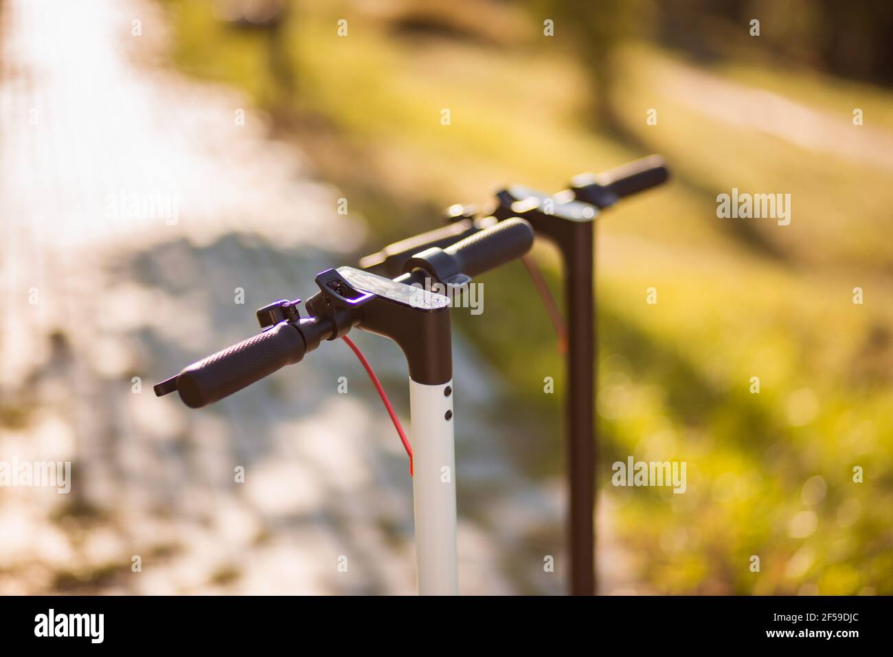 Zwei neue Elektroroller im Mietpark bereit zu gehen. Kostenpflichtige Vermietung von Motorrollern. Moderne Ökotransporte, Verkehrsinfrastruktur. Stockfoto