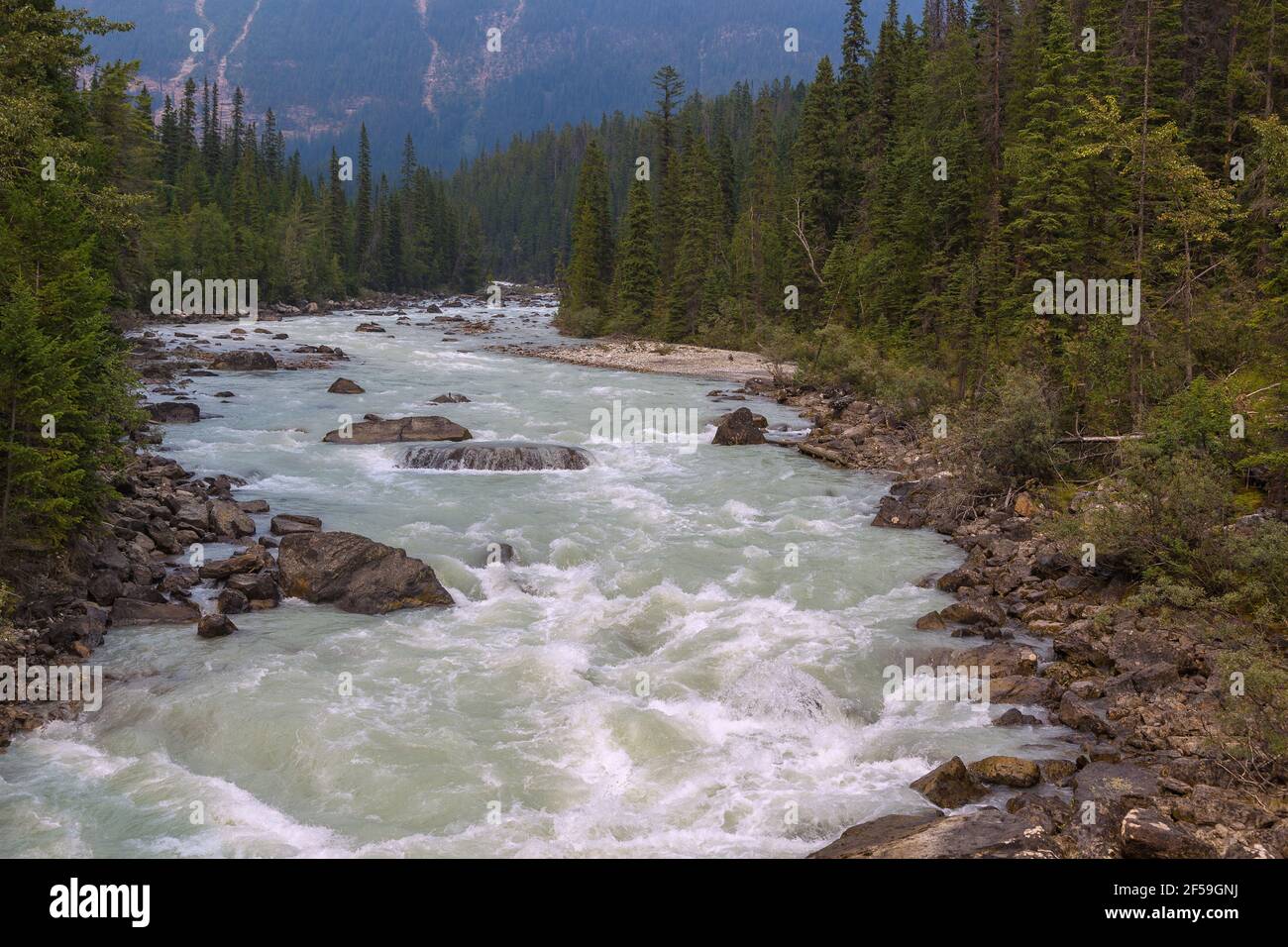 Geographie / Reisen, Kanada, Yoho Nationalpark, Yoho Fluss, zusätzliche-Rights-Clearance-Info-not-available Stockfoto