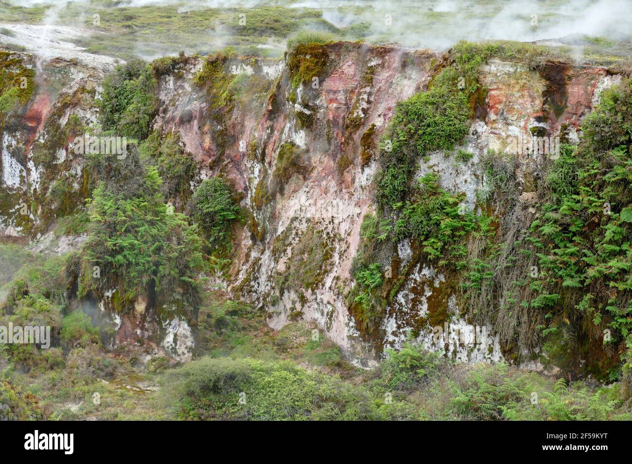 Geothermie-Standort in Neuseeland genannt Krater des Mondes Stockfoto