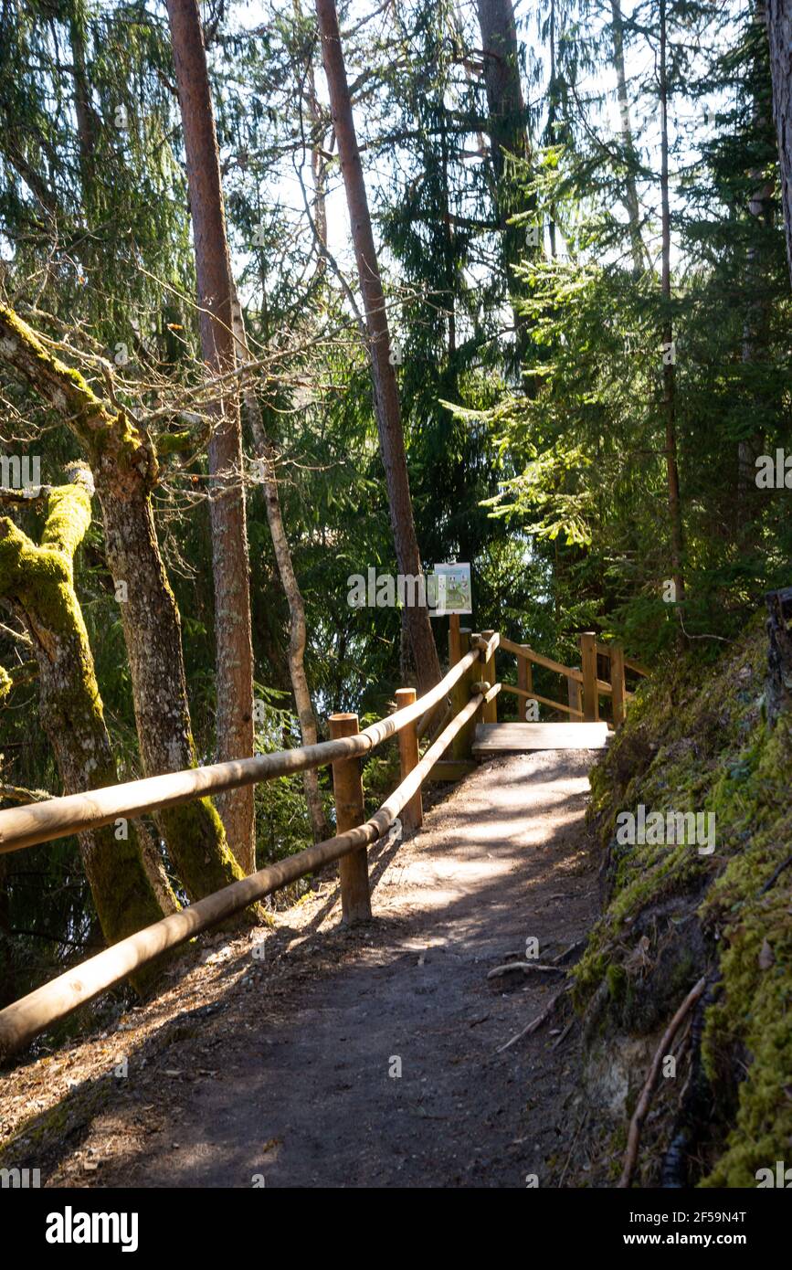 Wanderweg in einem schönen grünen Nadelwald mit Holzbarrieren am Flussufer und Holztreppen. Touristenattraktion Stockfoto