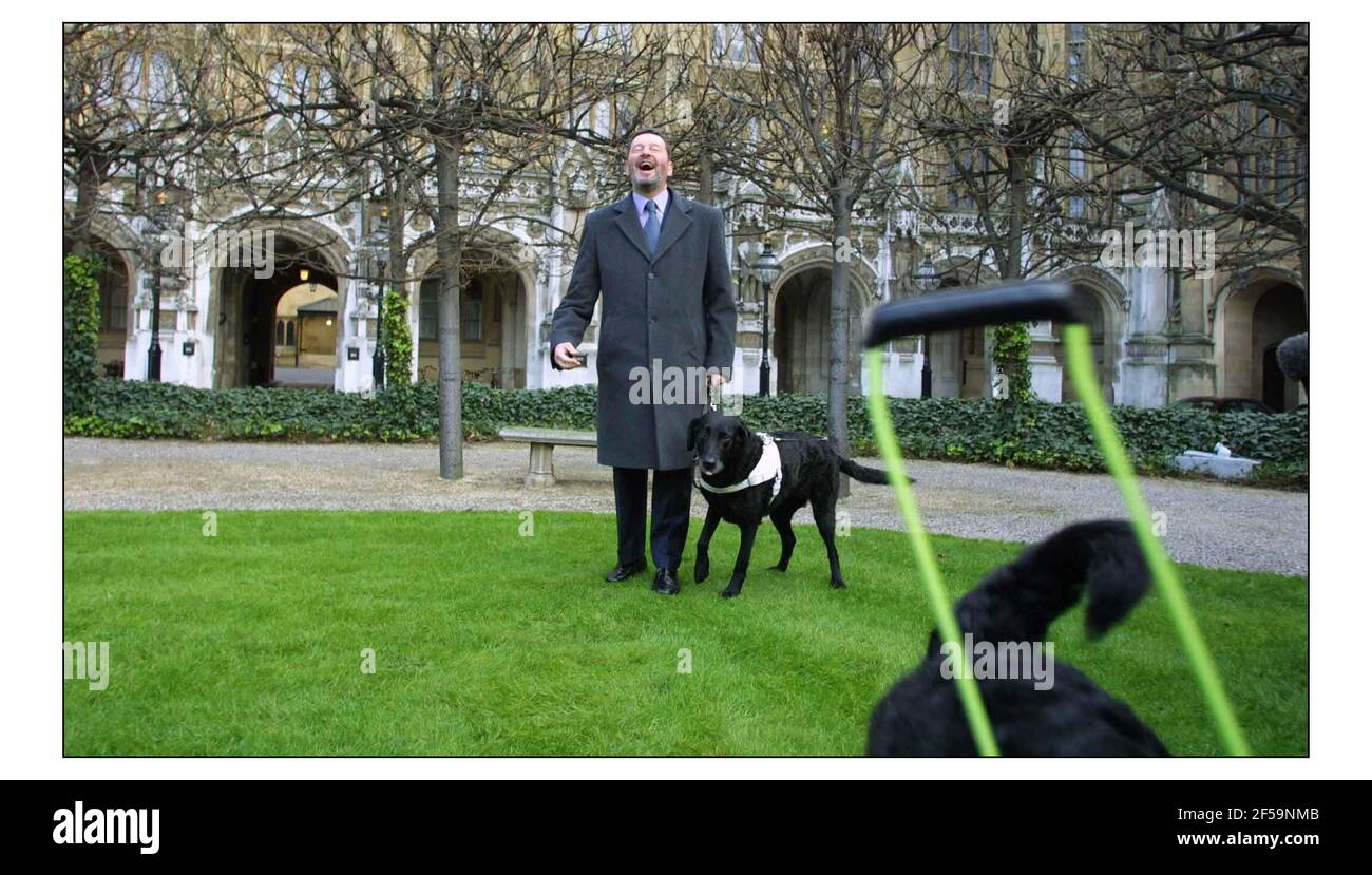 David Blunkett mit dem zurückgetretenen Führerhund Lucy und dem neuen Führerhund Sadie auf der Flucht Mr. Blunketts ergreift kurz, um das Gelände von Westminster bei einer Fotozelle zu erkunden, die Sadie der Presse vorstellt.pic David Sandison 24/1/2002 Stockfoto