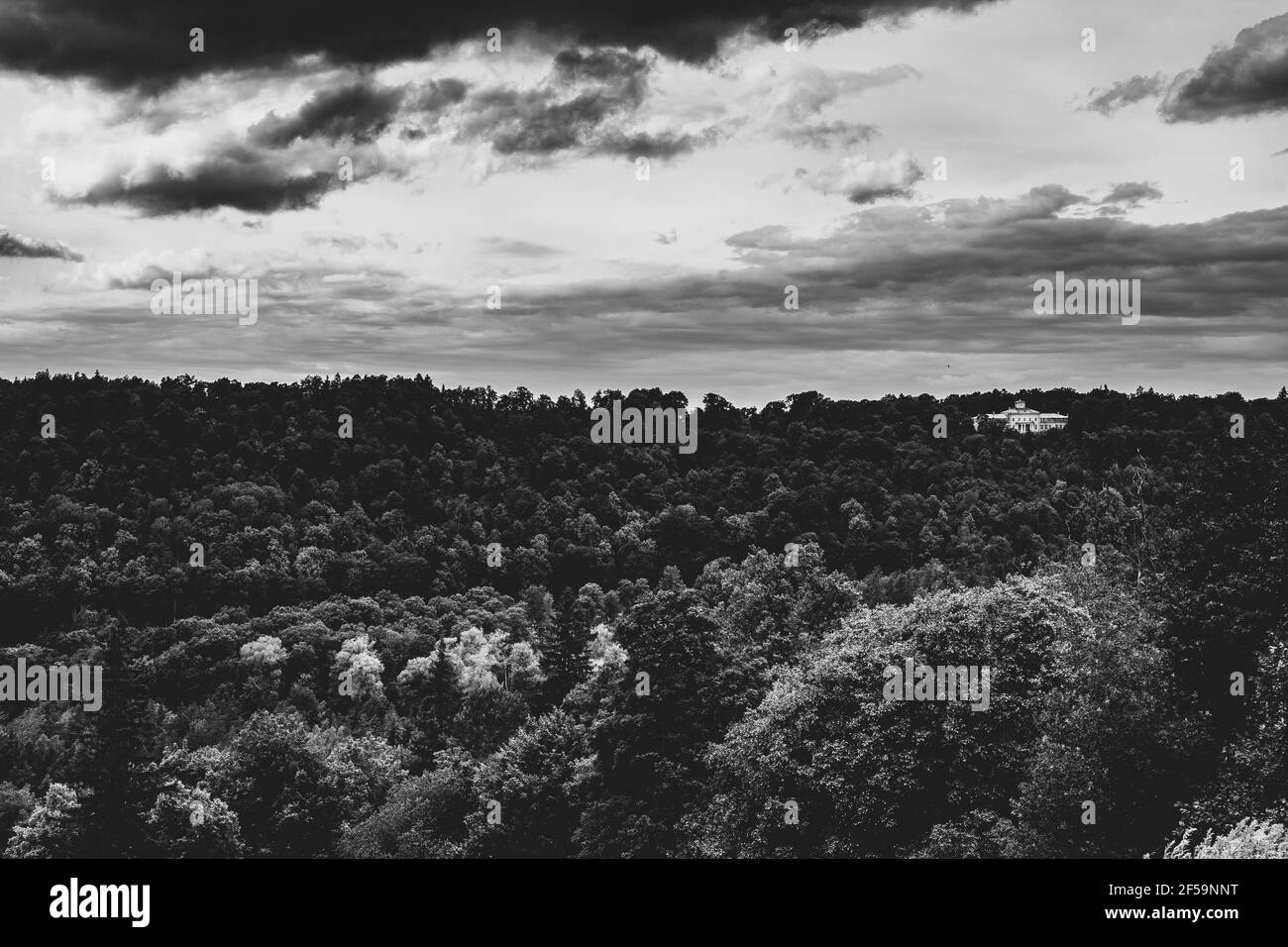 Schönes und buntes Waldtal am Fluss Gauja in Sigulda, Lettland Stockfoto