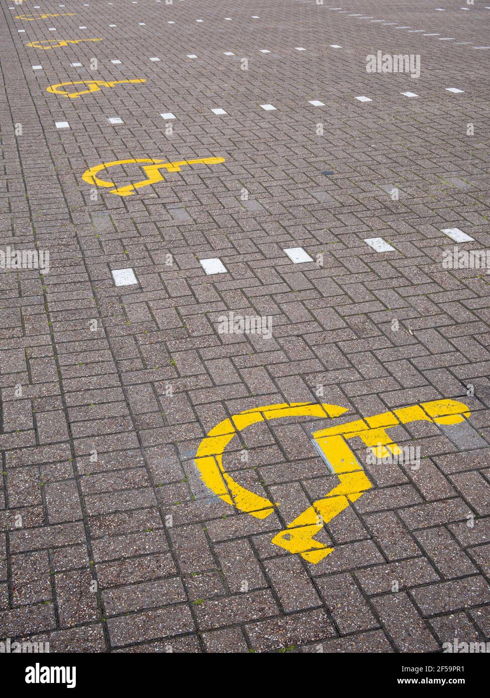 Schilder für Behindertenparkplätze auf dem Boden eines Parkplatzes in einem Einkaufszentrum im Vereinigten Königreich. Stockfoto