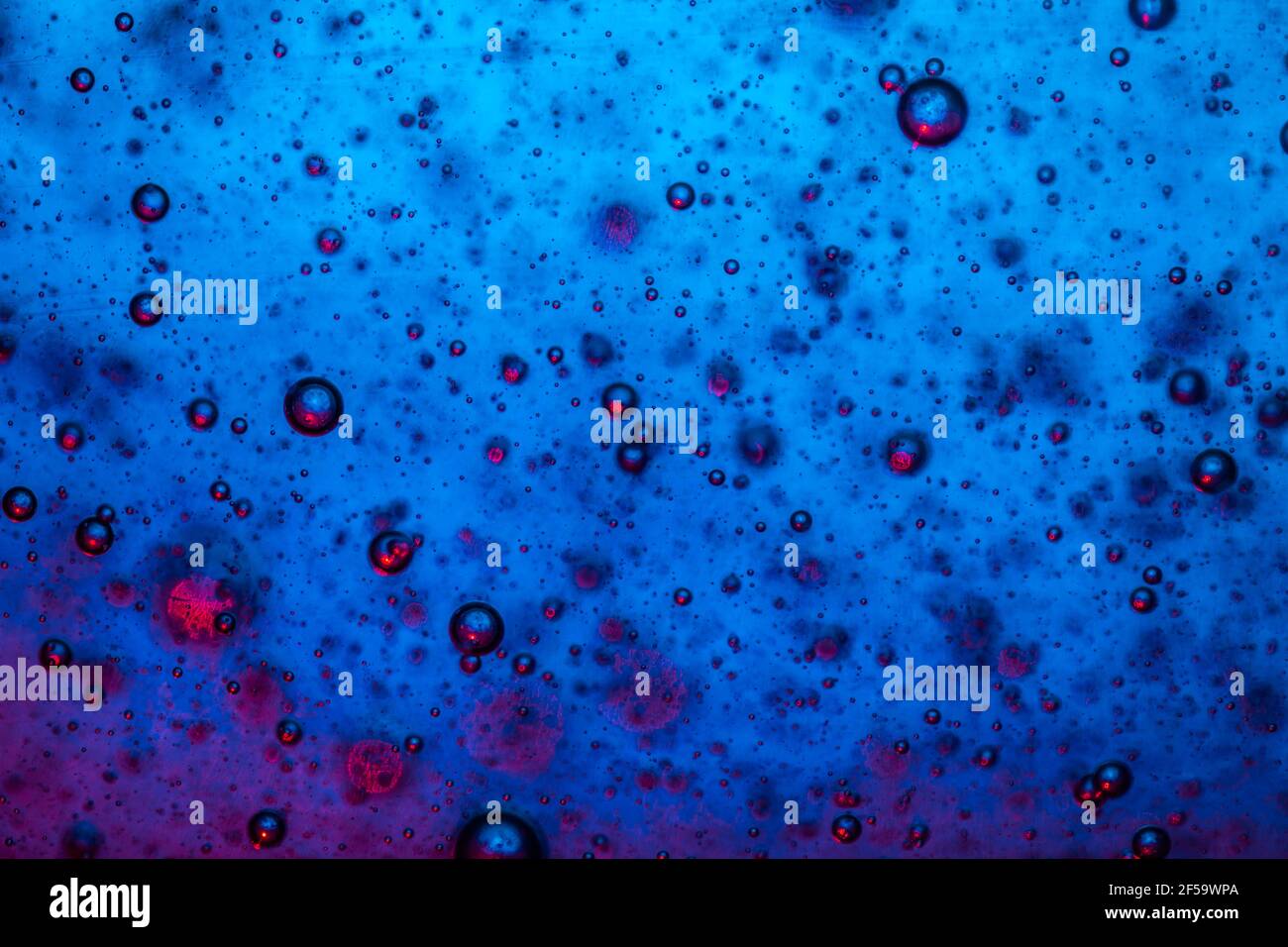 Große schöne Sauerstoffblasen unter Wasser auf einem blauen Hintergrund Makro. Bewegung Sauerstoff bläht in einer Flüssigkeit bei der Studiobeleuchtung Stockfoto