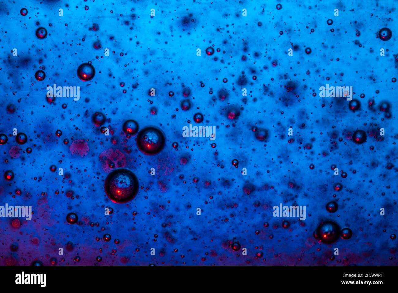 Große schöne Sauerstoffblasen unter Wasser auf einem blauen Hintergrund Makro. Bewegung Sauerstoff bläht in einer Flüssigkeit bei der Studiobeleuchtung Stockfoto
