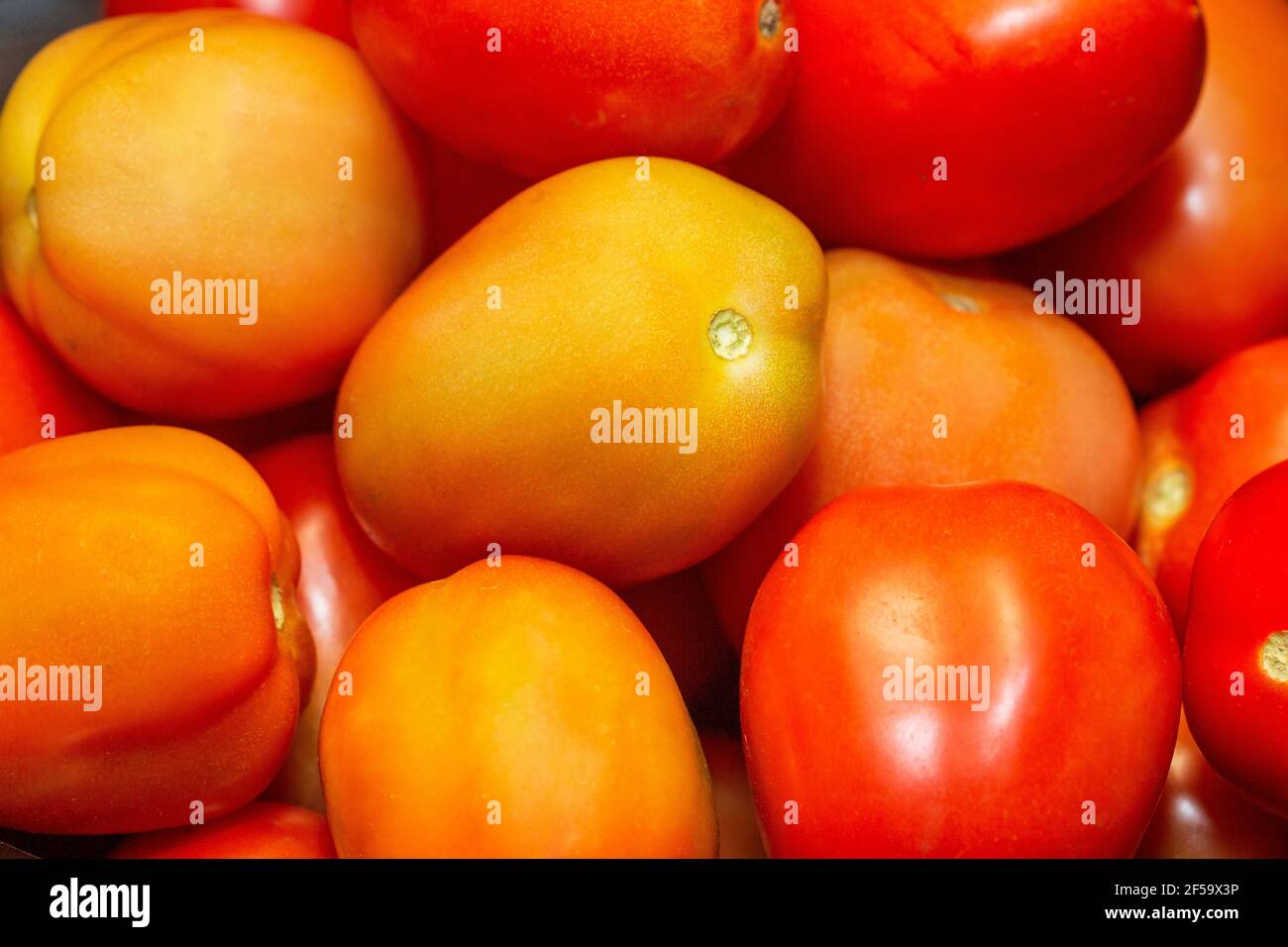 Haufen reife Tomaten. Stockfoto