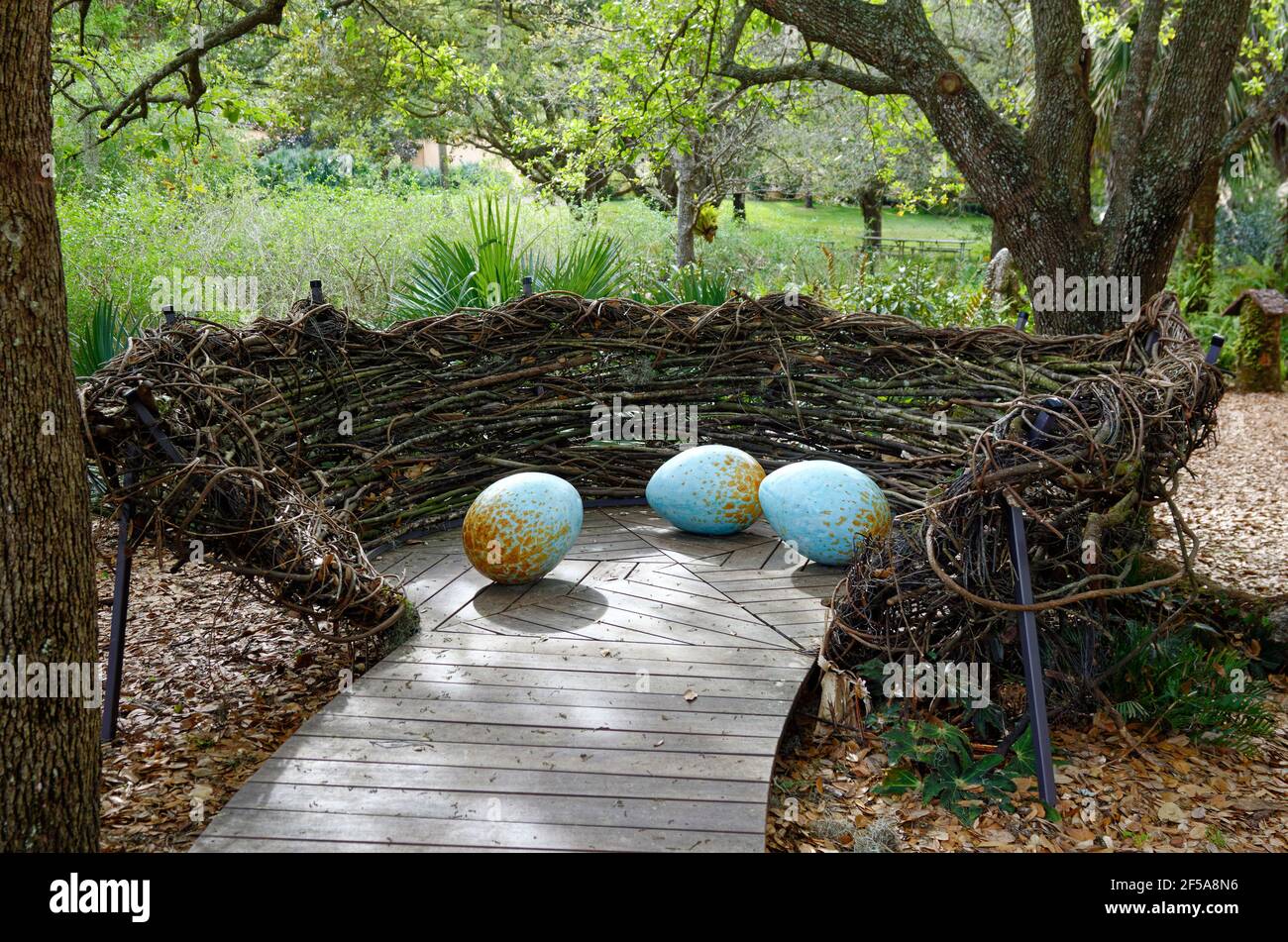Hängematte Hollow Kindergarten, großes Vogelnest, 3 hellblaue Eier, Entdeckung-basiertes Lernen, Spaß, einzigartige Elemente, Florida, Bok Tower Gardens, See Stockfoto