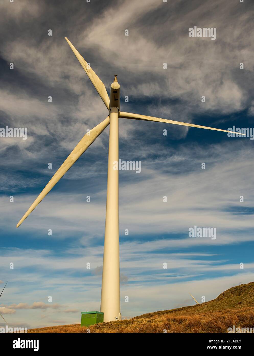 Whitelee Windfarm, Schottland Stockfoto