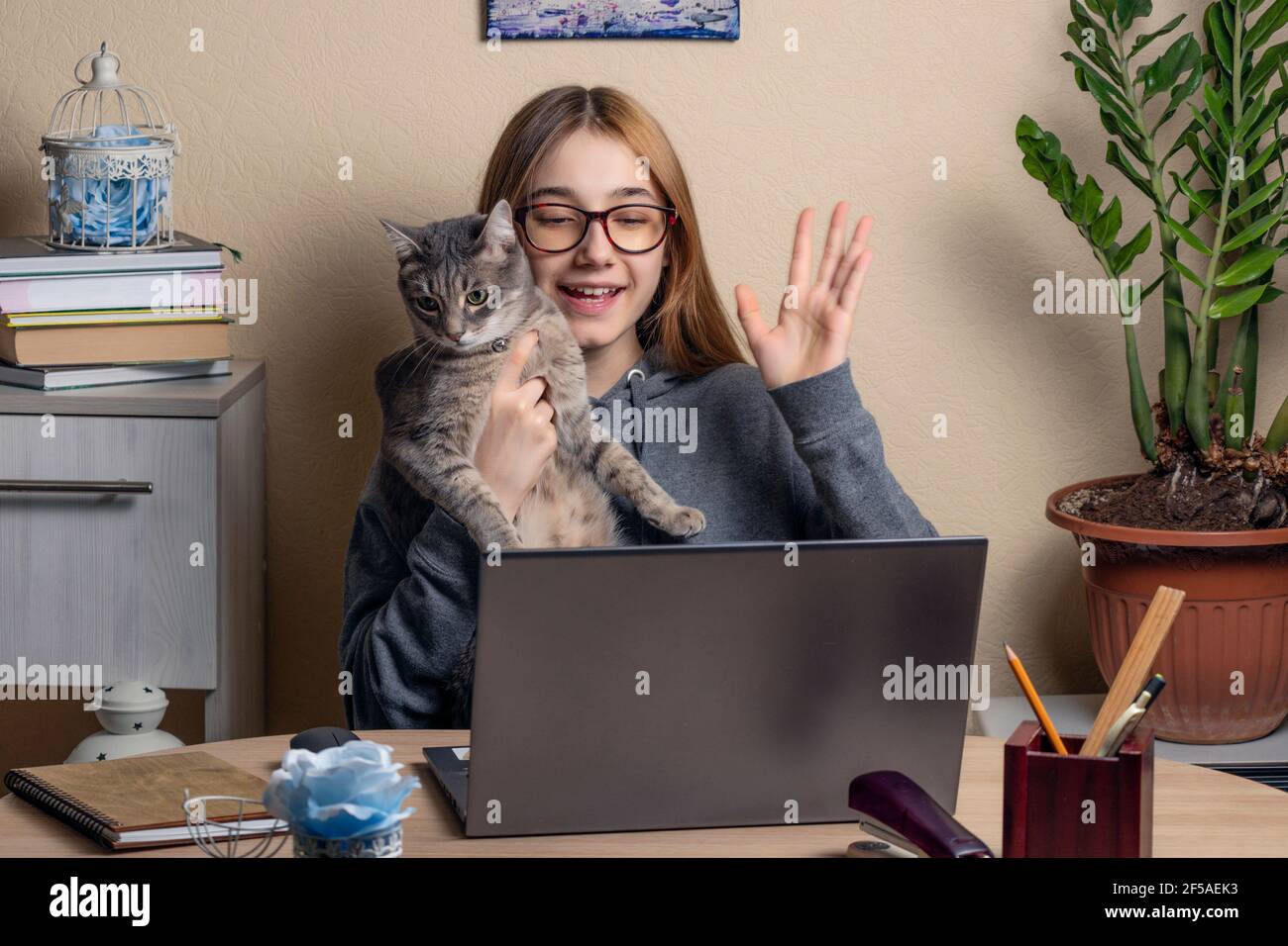 Schöne Teenager-Mädchen mit einer Katze in den Armen sitzt vor Laptops. Teenager-Mädchen winkt ihre Hand auf dem Laptop-Bildschirm. Fernkommunikationskonzept Stockfoto