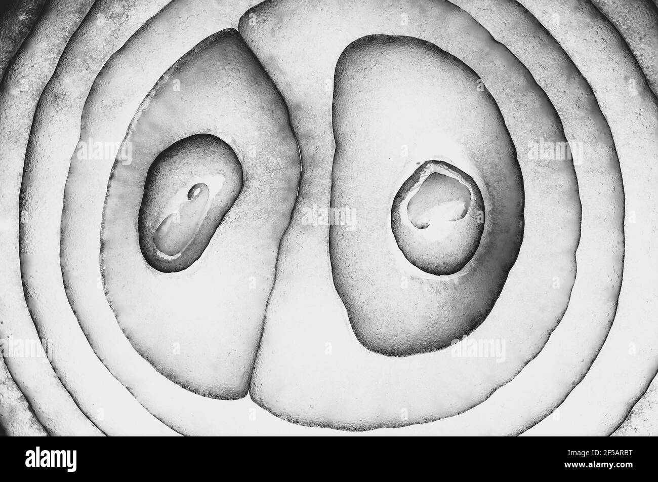 Nahaufnahme Muster der roten Zwiebel geschnitten für den Hintergrund. Stockfoto