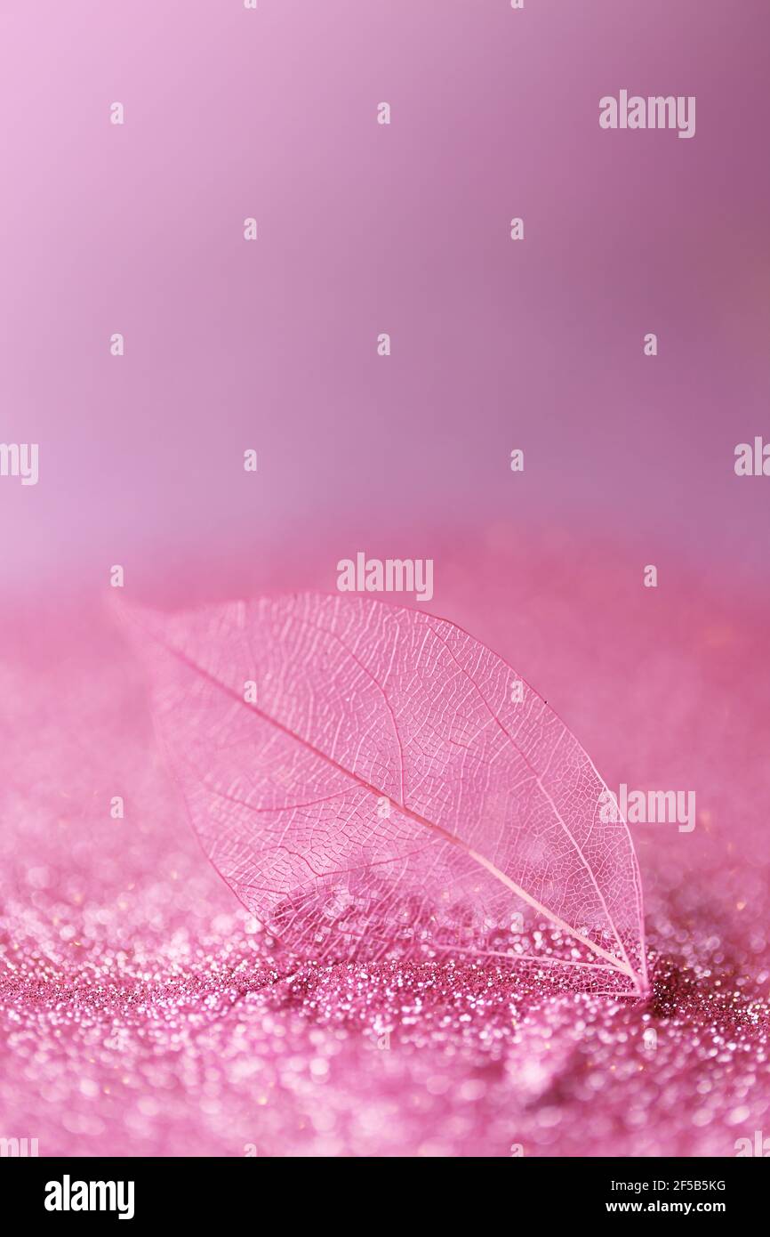 Skelett Blätter.Skelettierte rosa Blatt Nahaufnahme in rosa Glanz Glitter auf einem hellrosa Hintergrund.Wallpaper Telefon glänzend Glitter. Natur Hintergrund Stockfoto