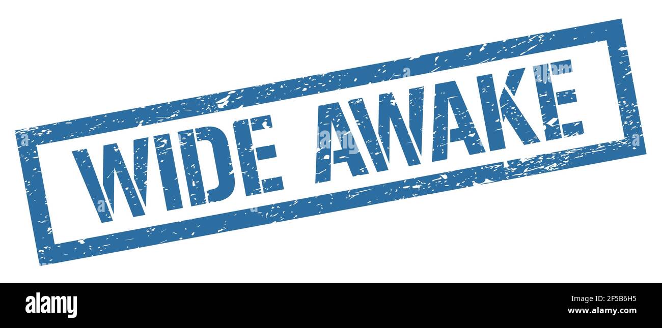 HELLWACH blau grungy Rechteck Stempel Zeichen. Stockfoto